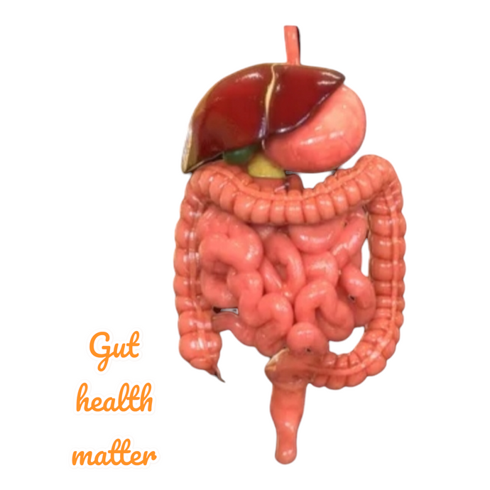 Are you taking care of your gut health?