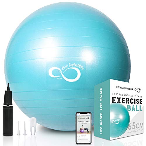 Anti Burst Exercise Ball and Workout Guide